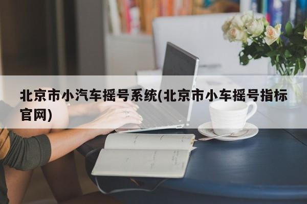 北京市小汽车摇号系统(北京市小车摇号指标官网)