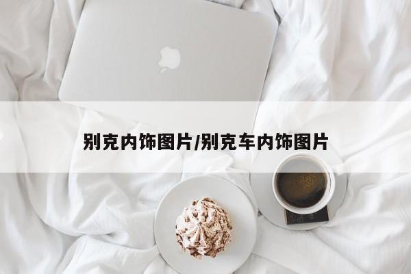 别克内饰图片/别克车内饰图片